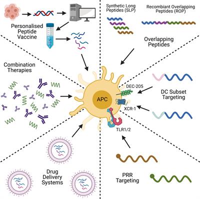 Beyond Just Peptide Antigens: The Complex World of Peptide-Based Cancer Vaccines